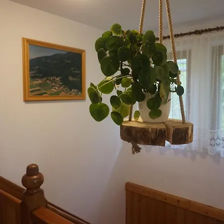 Berghaus Alberta 度假居 Nibitzer